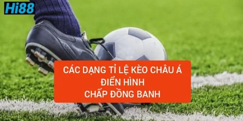 cac-dang-ti-le-keo-chau-a-dien-hinh-chap-dong-banh