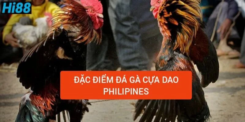 dac-diem-da-ga-cua-dao-philippines