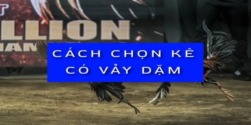 cach-chon-ke-co-vay-dam
