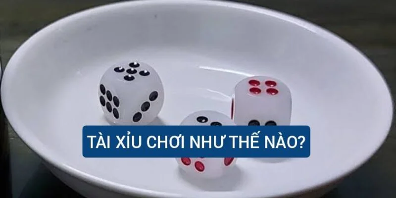 tai-xiu-choi-nhu-the-nao